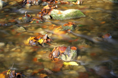 IMG_3407_Bildgroesse-aendern