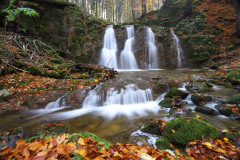 IMG_3450b_Bildgroesse-aendern