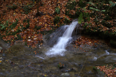IMG_3455