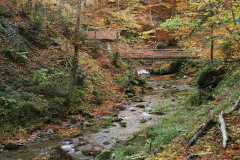 IMG_3480_Bildgroesse-aendern