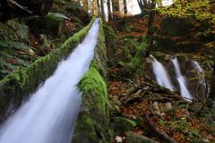 IMG_3504_Bildgroesse-aendern