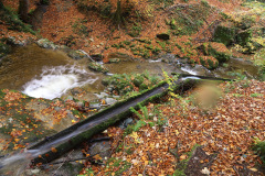 IMG_3538_Bildgroesse-aendern