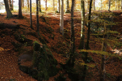 IMG_3543_Bildgroesse-aendern