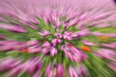 7D2_4149