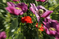 7D2_4154