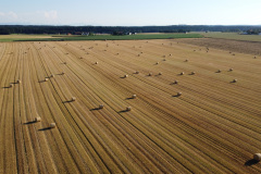 DCIM\100MEDIA\DJI_0743.JPG