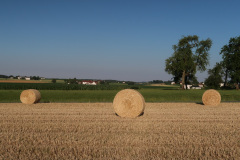 IMG_8149