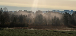 07_Ausflug_Tannberg