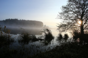 13_Ausflug_Tannberg